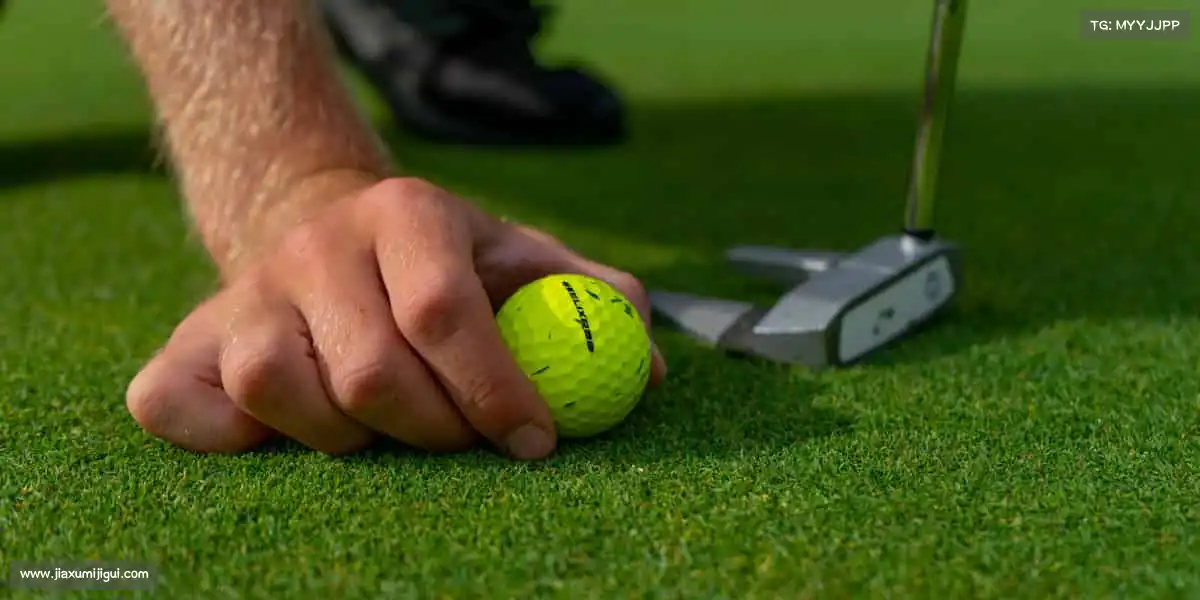 行业领先的理由